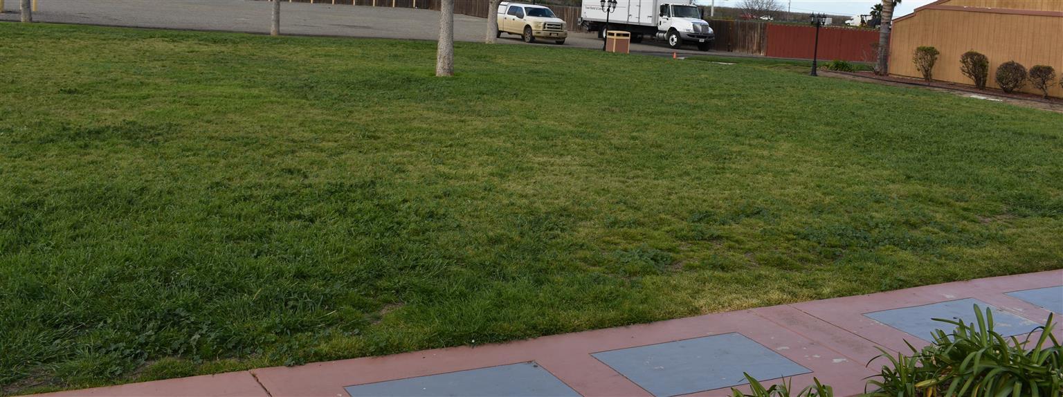 Best Western Big Country Hotel